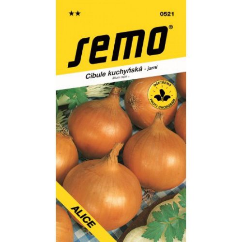 Cibuľa jarná alica 2g