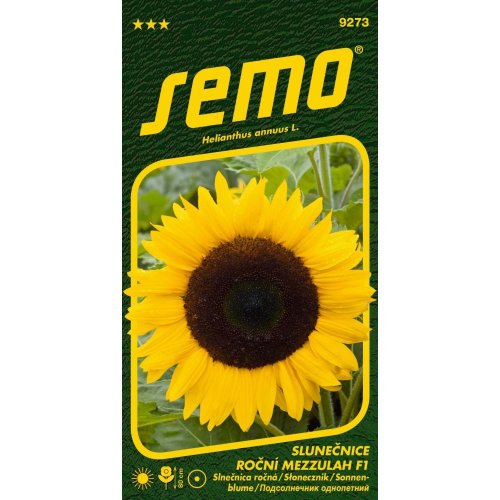 Slnečnica ročná mezzulah f1 2g