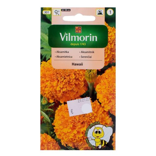 Aksamietnica oranž. hawai 1g