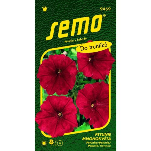 Petunia veľkokv láska f1 50p