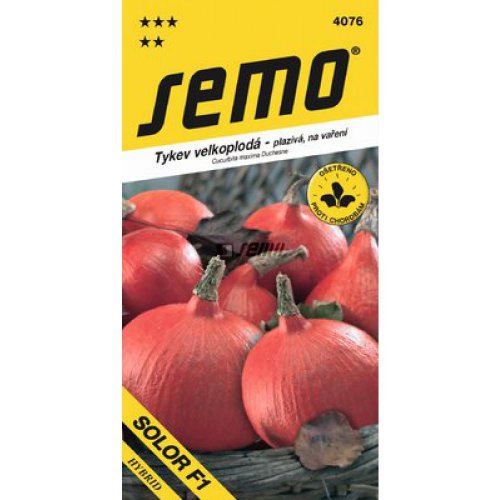 Tekvica solor f1 8s.