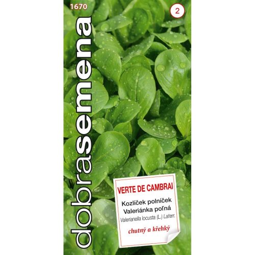 Valeriánka poľná verte de cambrai 2g