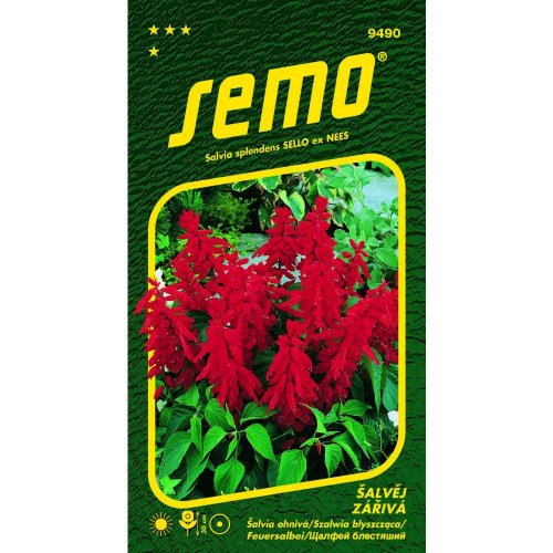 Šalvia karkulka 0,5g