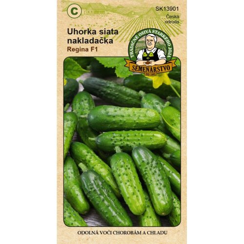 Uhorka siata nakladačka regina f1 2g