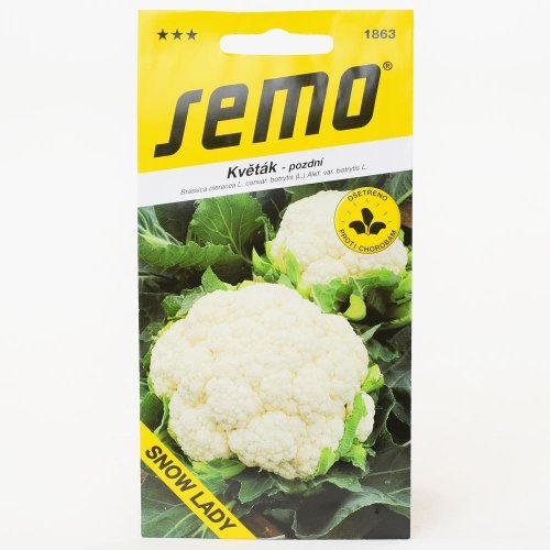 Karfiol snow lady letny a jesenný 50s.