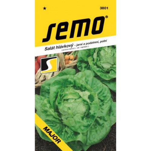 Šalát hl.major 0,6g