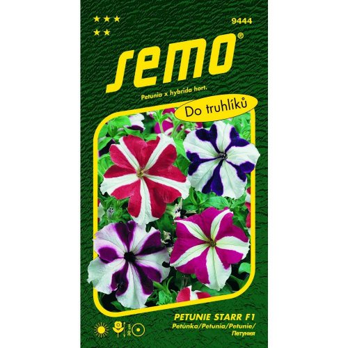 Xpetúnka mnohokv. starr f1 30p