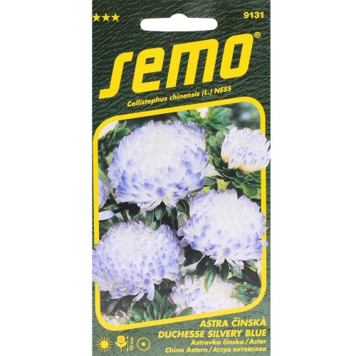Astra čínska duchesse silvery blue 0,5g