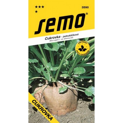 Repa cukrová fabius 40s