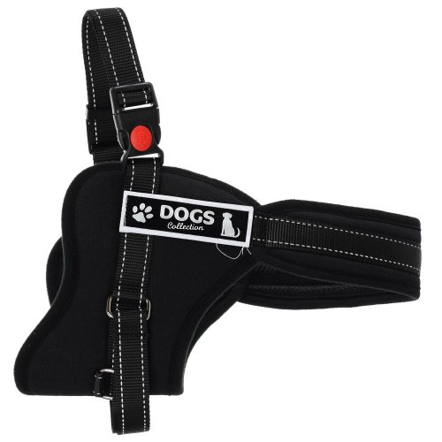 Postroj pre psa s/m/l