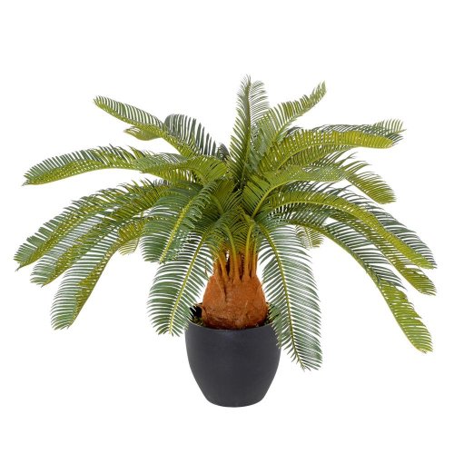 Cycas v kvetináči 72cm