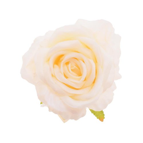 Hlava ruža krémovo-zelená priem:10cm bal:12ks