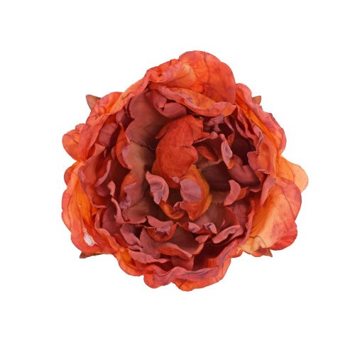 Ks hlava pivonka oranžovo-červená 10cm