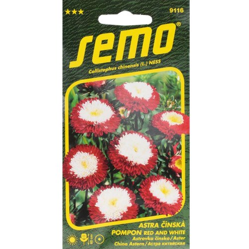 Astrovka čínska pompon red and white 0,5g