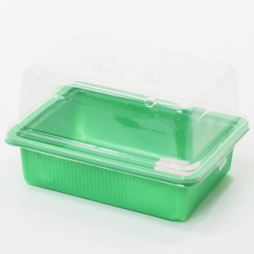 Miniparenisko herrison p2016, na priesady, 19.7x14x11 cm