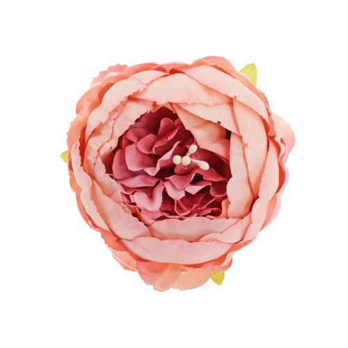 Hlava pivonka staro-ružová 7cm