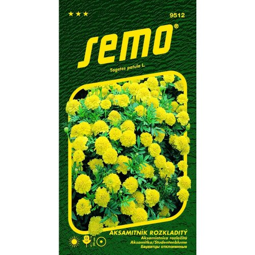 Aksamietnica rozl lemon drop 1g