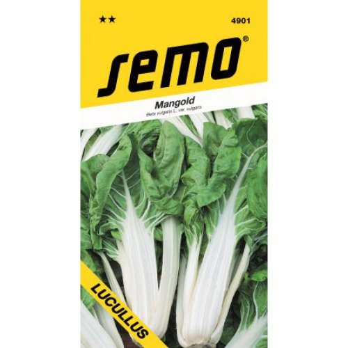 Mangold lucullus 3g