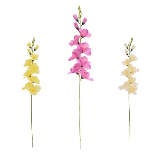 Ks gladiola, mix/3f 69cm