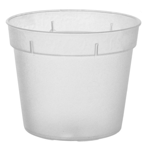 Kontajner orchidea  6,5cm x 5,5cm, 0,15l číry