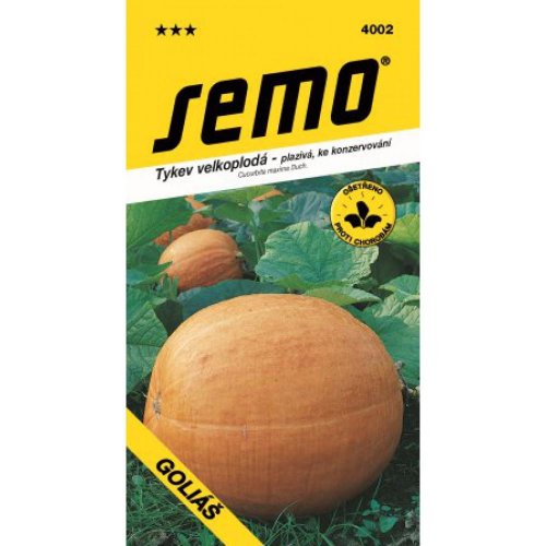 Tekvica plazivá goliáš 9s