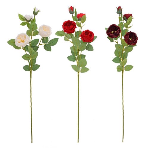 Ks ruža šípová mix/3f 68cm