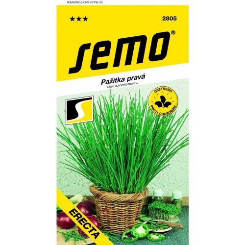 Pažítka pravá erecta 2g