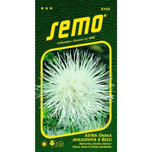 Astrovka čínska electric biela 0,5g