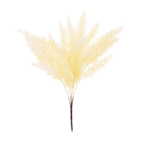 Zeleň asparát biely 37cm