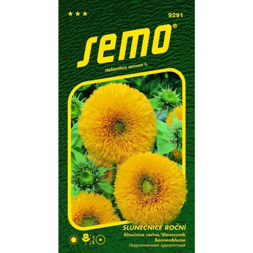 Slnečnica ročná teddy bear 1g