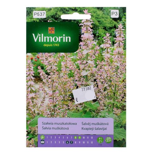 Šalvia muškátová 10/16