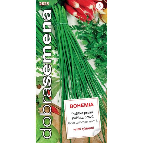 Pažítka pravá bohemia 2g