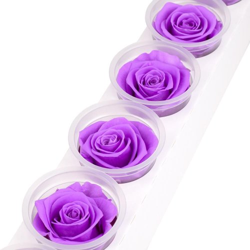 Ruža preparovaná 6,5cm baby lily /ks - bal. 6 ks