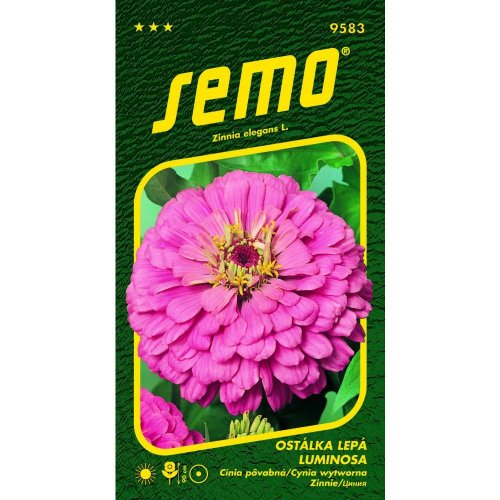 Cínia luminosa 0,7g