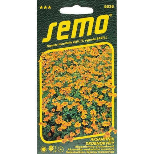 Aksamietnica drob.oranž. 0,2g