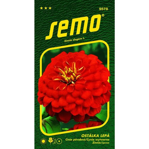 Cínia cherry queen 0,7g