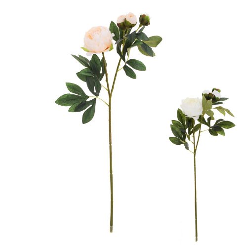 Ks pivónia x4 75cm mix 2f