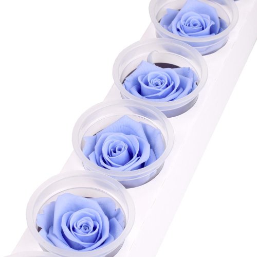 Ruža preparovaná 6,5cm cool lavender /ks - bal. 6 ks