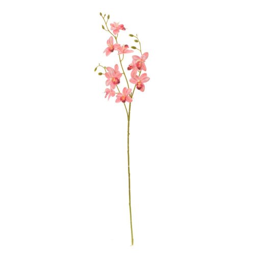 Ks orchidea phalaenopsis ružová 80cm