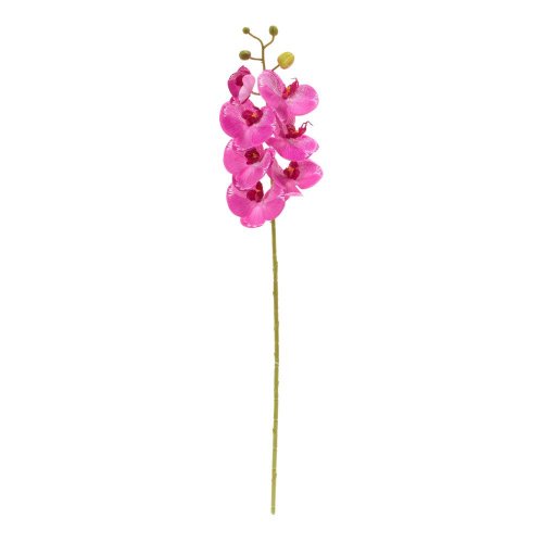 Ks orchidea phalaenopsis cyklaménová 73cm