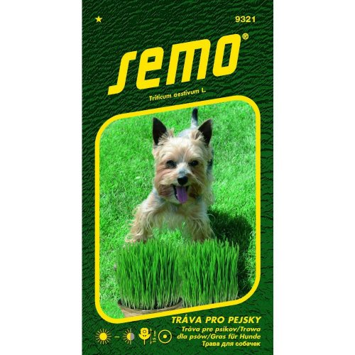 Tráva pre psíkov 10g