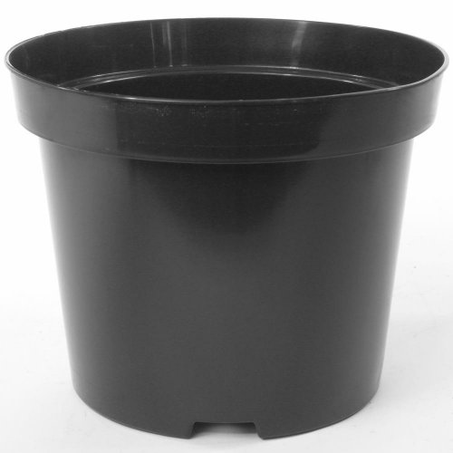 Kontajner 30/31cm, 12lsbx