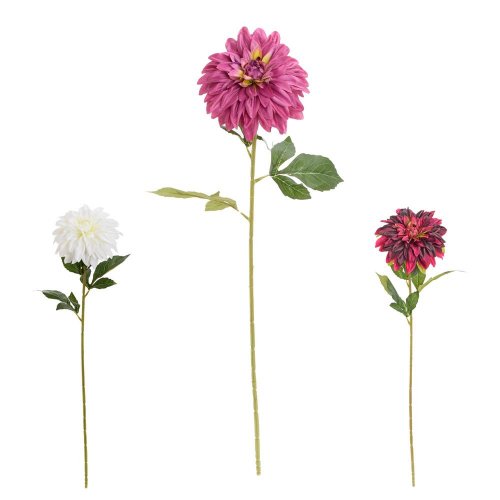 Ks dalia mix/3f 70cm