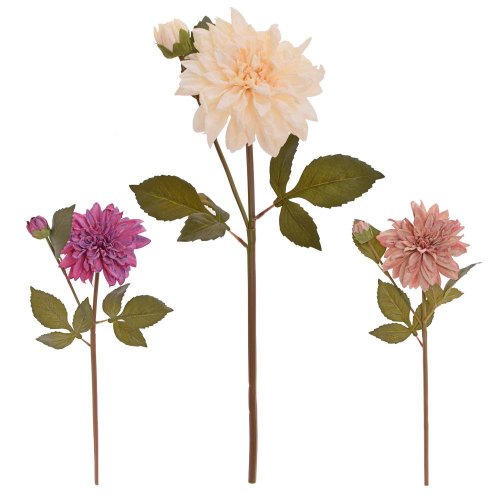 Ks dalia mix/3f 48cm