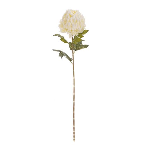Ks chryzantéma biela 62cm