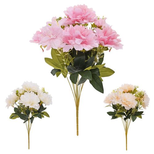 Kytica pivónia heleborus x11 50cm mix 3f