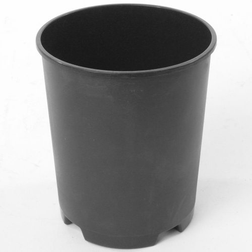 Kontajner ruže- rp - 4l