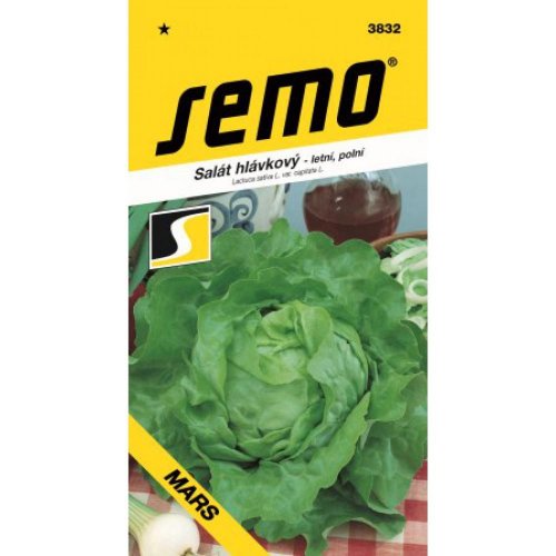 Šalát hlávk. mars 0,4g
