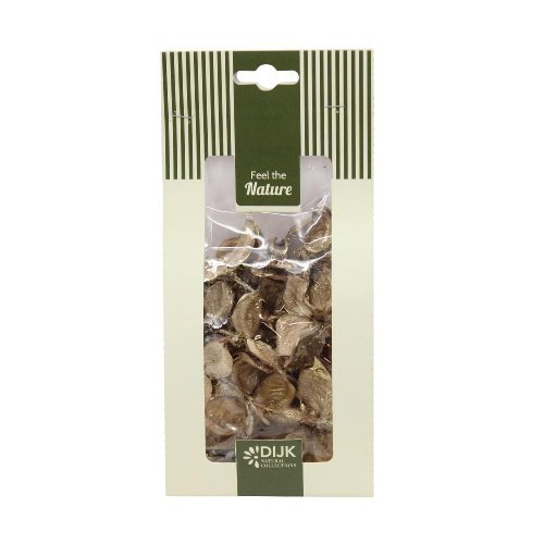 Cotton pod nature 10x5x22cm