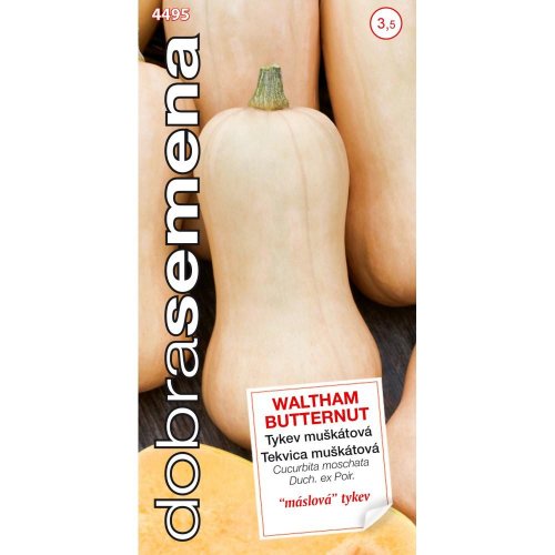 Tekvica muškátová waltham butternut 10s